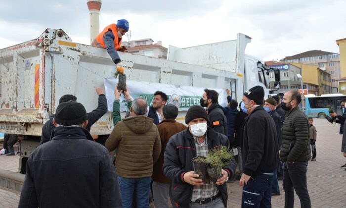ALACA BELEDİYESİ FİDAN DAĞITTI