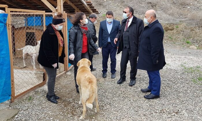 SOKAK HAYVANLARINA SAHİP ÇIKIYORUZ