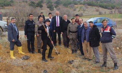 ORTAKÖY’E 500 FİDAN DİKİLDİ