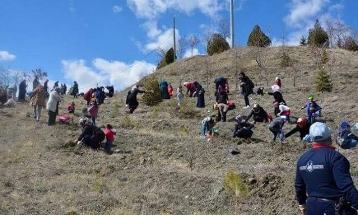 MİNİK ÖĞRENCİLER FİDAN DİKTİ