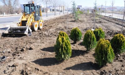 ÇORUM YEŞİLE BÜRÜNÜYOR