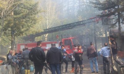 İSKİLİP’TE ORMAN YANGINI KORKUTTU