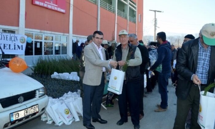 KARGI’DA FİDAN ÜCRETSİZ FİDAN DAĞITILDI