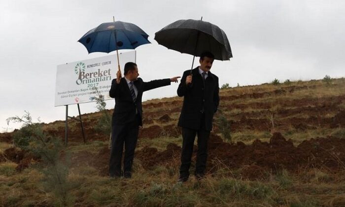 BEREKET ORMANINDA ÇALIŞMALAR TAMAMLANDI