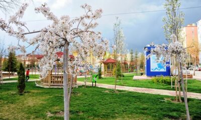 ÇORUM’DA BAHARIN RENK CÜMBÜŞÜ