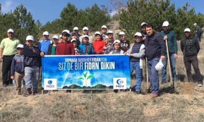 250 BİN ŞEHİDE 250 BİN FİDAN