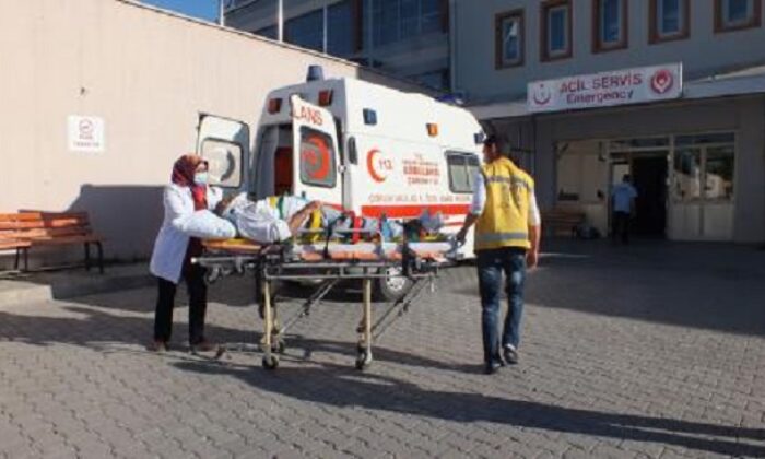 AĞAÇLARI İLAÇLARKEN ZEHİRLENDİ