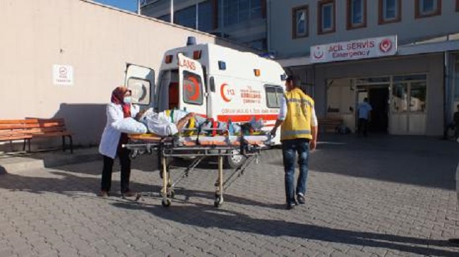 AĞAÇLARI İLAÇLARKEN ZEHİRLENDİ