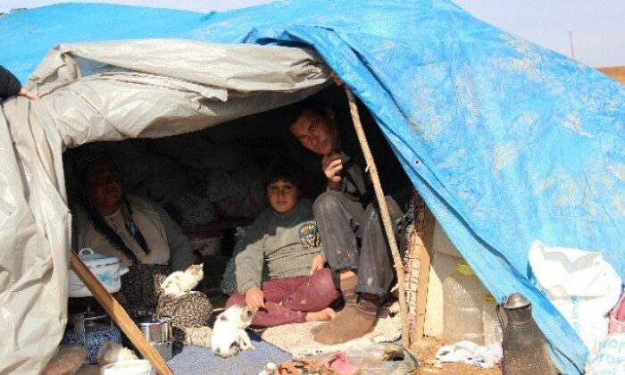 ÇADIRDA YAŞAYAN İŞÇİLER ZEHİRLENDİ