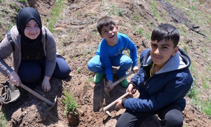 HATIRA ORMANINA FİDAN DİKTİLER