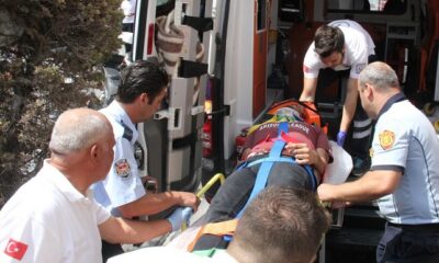 YEDİKLERİ MANTARDAN ZEHİRLENDİLER