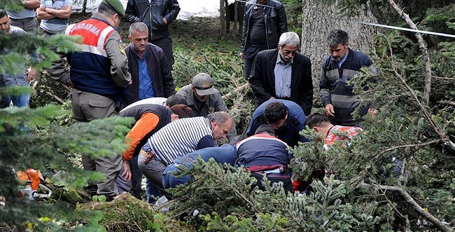 KESTİĞİ AĞACIN ALTINDA KALDI