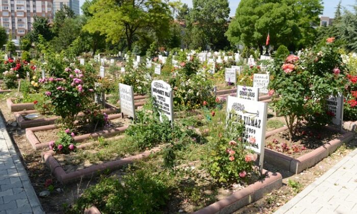 BELEDİYE MEZARLIKLARDA ÇİÇEK DAĞITACAK