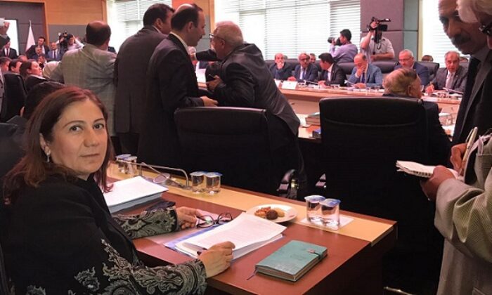 CERİTOĞLU TBMM ANAYASA KOMİSYONUNDA