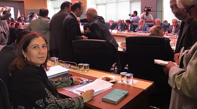 CERİTOĞLU TBMM ANAYASA KOMİSYONUNDA