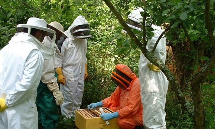 ORMAN KÖYLÜSÜNE 22 MİLYON DESTEK