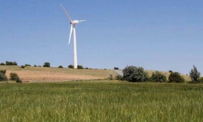 RÜZGAR GÜLÜ PROJESİ SONUÇ VERDİ