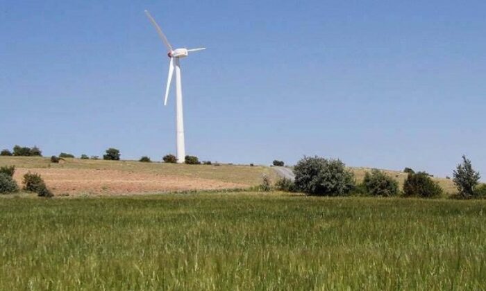 RÜZGAR GÜLÜ PROJESİ SONUÇ VERDİ