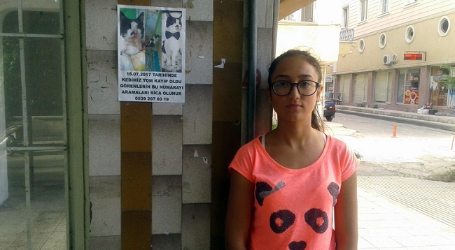 BERFİN KEDİSİNİ BULANA ÖDÜL VERECEK