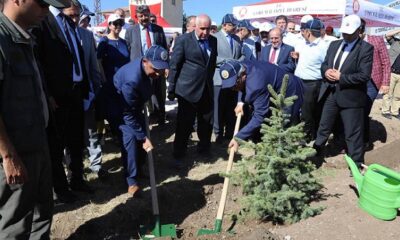 ŞEHİTLER ORMANINA FİDAN DİKTİLER