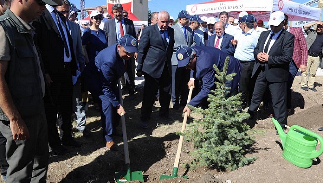 ŞEHİTLER ORMANINA FİDAN DİKTİLER