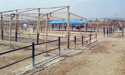 GEÇİCİ HAYVAN PAZARI BAYRAMA HAZIR