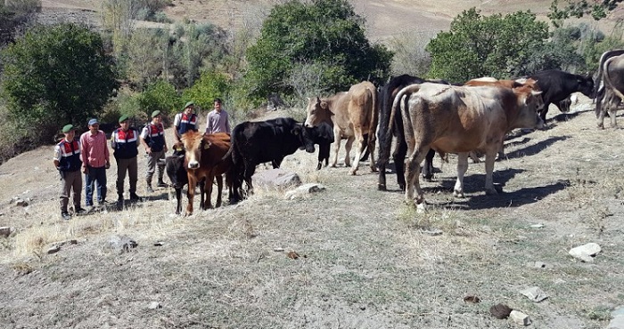 JANDARMA MUTLU ETTİ