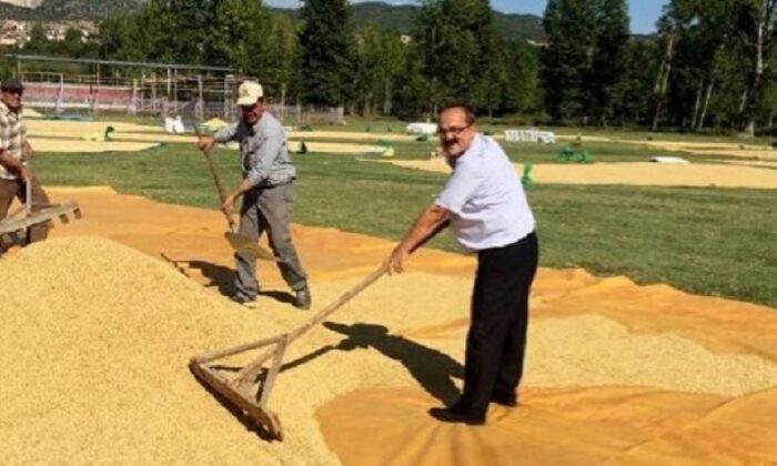 ÇELTİK ÜRETİCİLERİNİ ZİYARET ETTİ