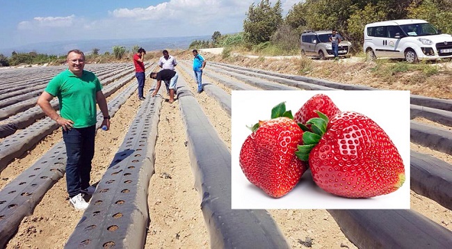 ÇİLEK İLE SUNGURLU’DAN GÖÇ ÖNLENECEK