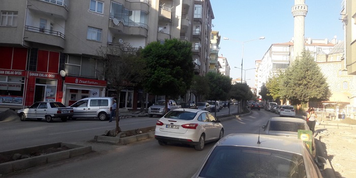 BU KAVŞAK KAÇ CAN DAHA ALACAK!