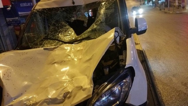 YOLA ÇIKAN İNEK KAZA YAPTIRDI
