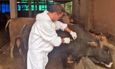 AŞI ÜCRETİNİN KALDIRILMASINA TEPKİ