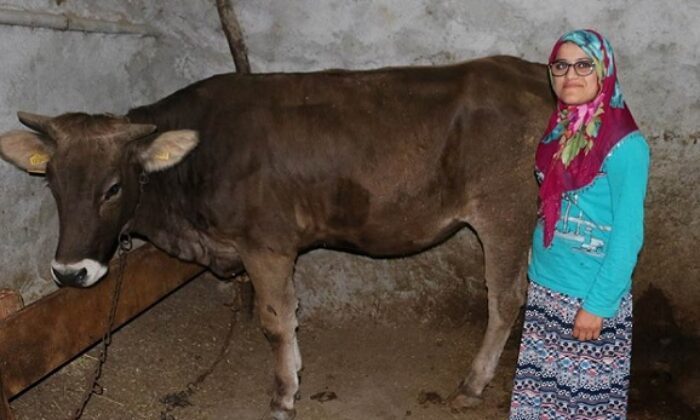 DEVLETTEN HAYVAN DESTEĞİ ALDILAR