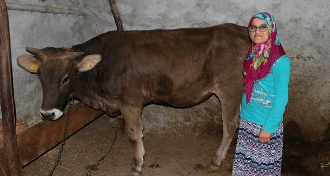 DEVLETTEN HAYVAN DESTEĞİ ALDILAR