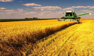 ÇKS BAŞVURULARI UZATILDI