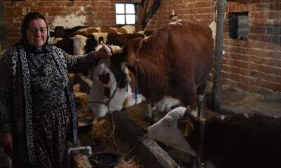 İŞKUR’UN HİBE PROJELERİ DEVAM EDİYOR