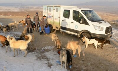 ONLAR’DA BELEDİYE’YE EMANET