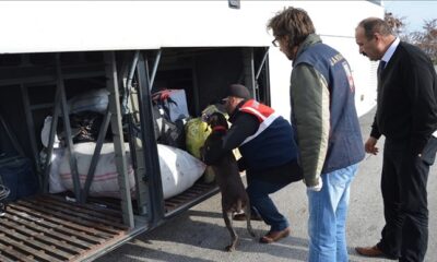 ZEUS UYUŞTURUCUYA GEÇİT VERMEDİ