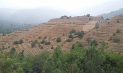 KARGI DAHA YEŞİL OLACAK