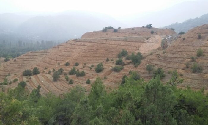 KARGI DAHA YEŞİL OLACAK