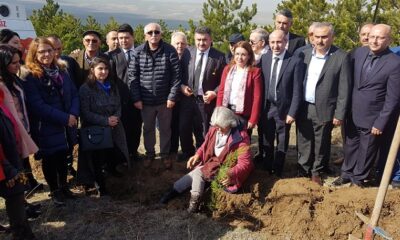 ADALET ORMANI OLUŞTURULDU
