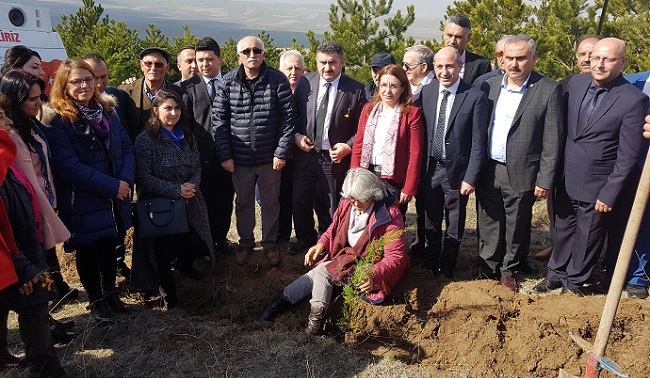 ADALET ORMANI OLUŞTURULDU
