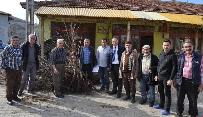 LAÇİN’DE 3 BİN ADET CEVİZ FİDANI DAĞITILDI