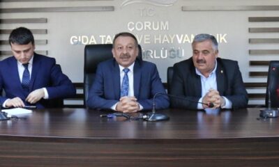 2018 GIDA DA DENETİM YILI OLACAK