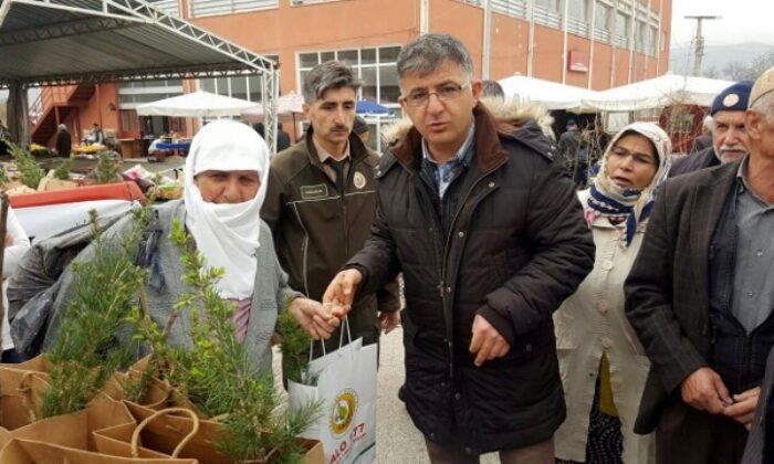 VATANDAŞLARA ÜCRETSİZ FİDAN DAĞITILDI
