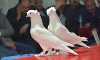 ÇORUM’DA İLK DEFA DÜZENLENDİ