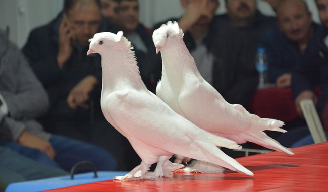 ÇORUM’DA İLK DEFA DÜZENLENDİ