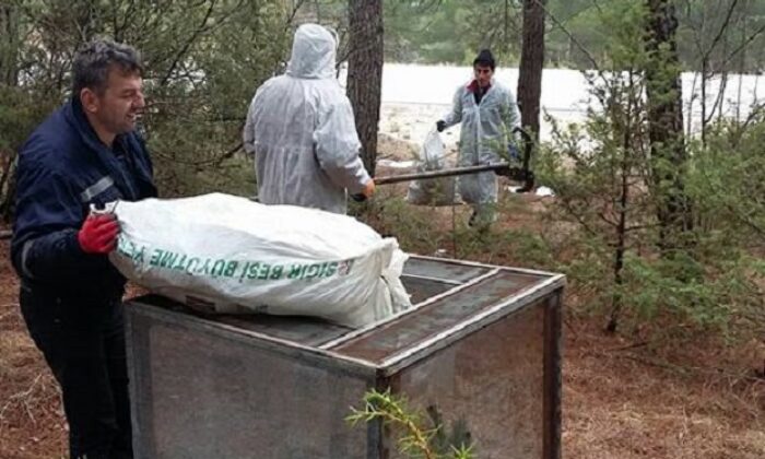 ÇAM KESE BÖCEĞİ MÜCADELESİ BAŞLADI