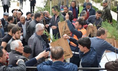 VATANDAŞA FİDAN ÜCRETSİZ DAĞITILDI
