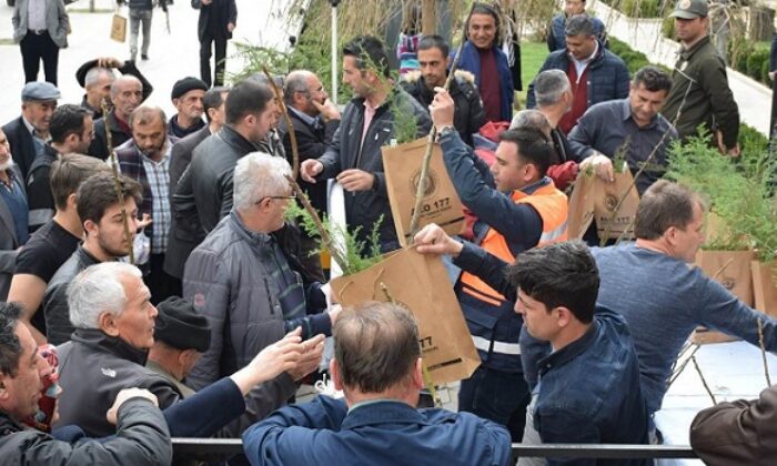 VATANDAŞA FİDAN ÜCRETSİZ DAĞITILDI